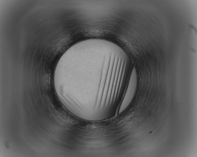 X0000091720739200709211000