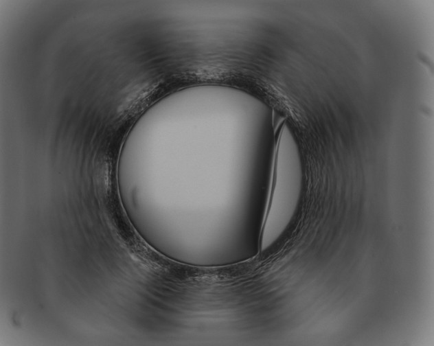 X0000091720740200709211000