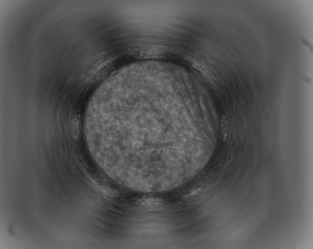 X0000091720741200709211000