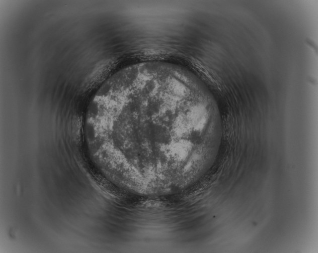 X0000091720742200709211000