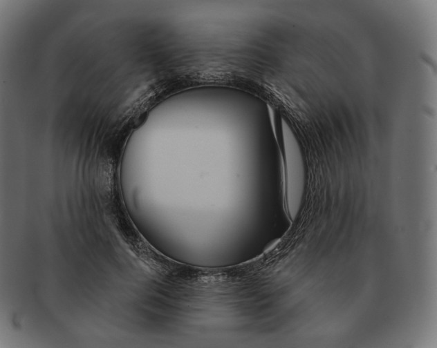 X0000091720744200709211000