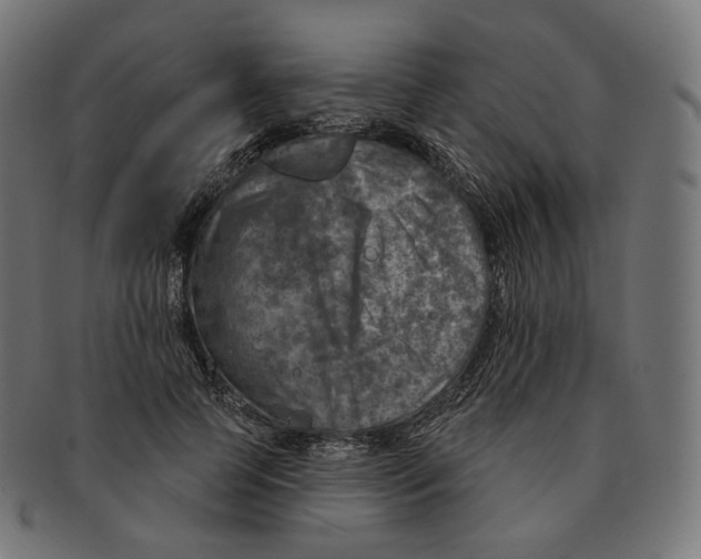 X0000091720745200709211000