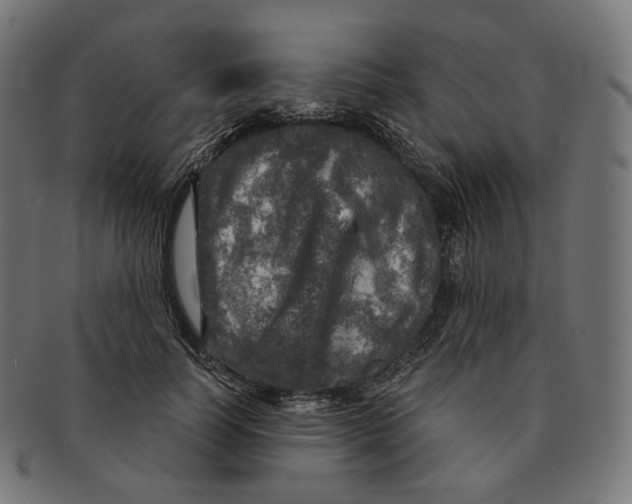 X0000091720746200709211000