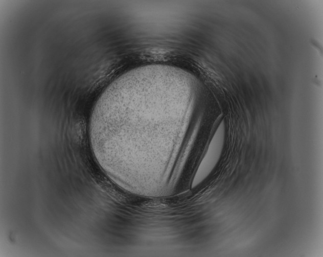 X0000091720747200709211000