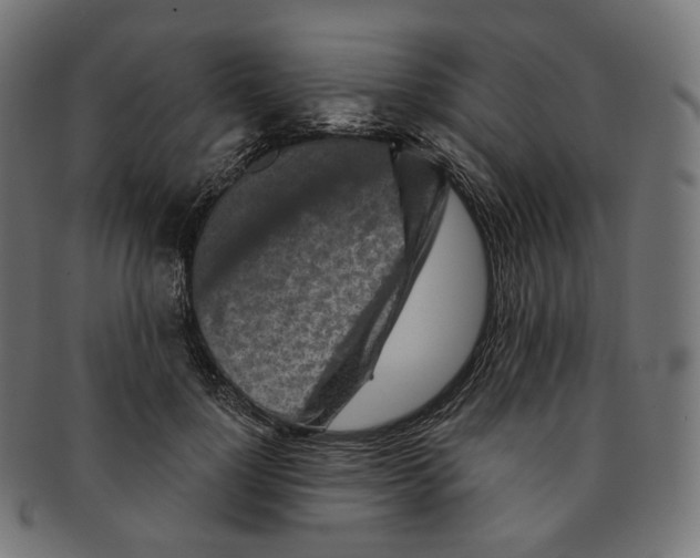 X0000091720748200709211000