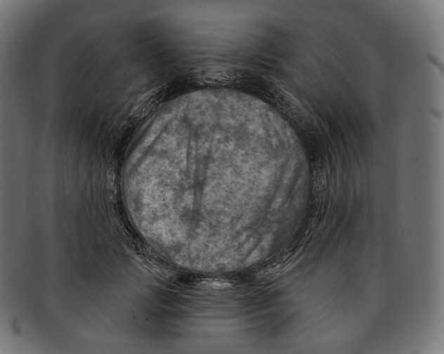 X0000091720749200709211000