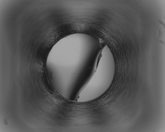 X0000091720750200709211000