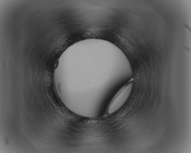 X0000091720751200709211000