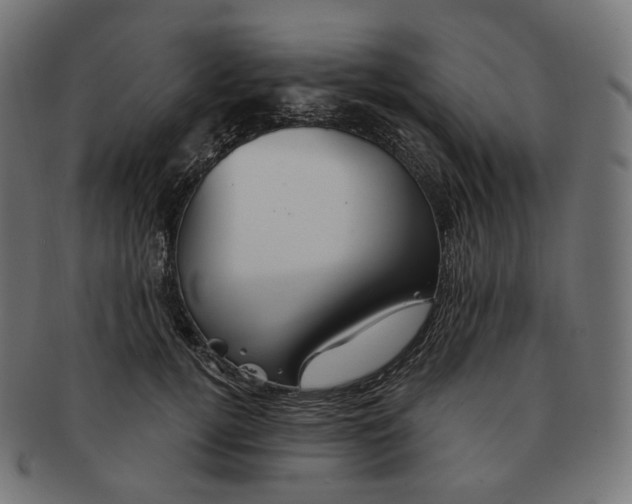 X0000091720752200709211000