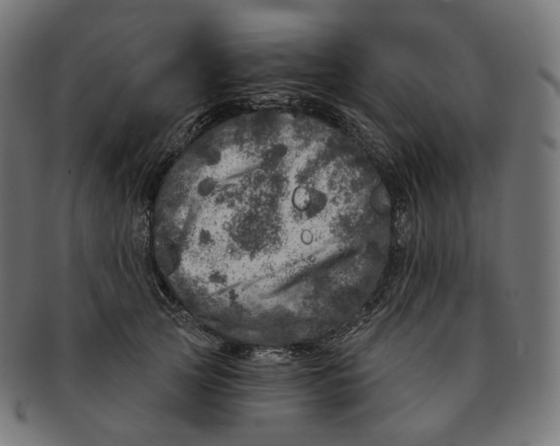 X0000091720753200709211000