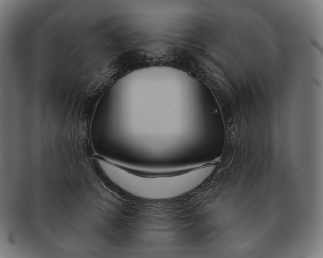 X0000091720756200709211000