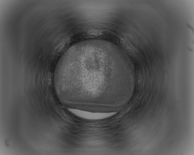 X0000091720758200709211000