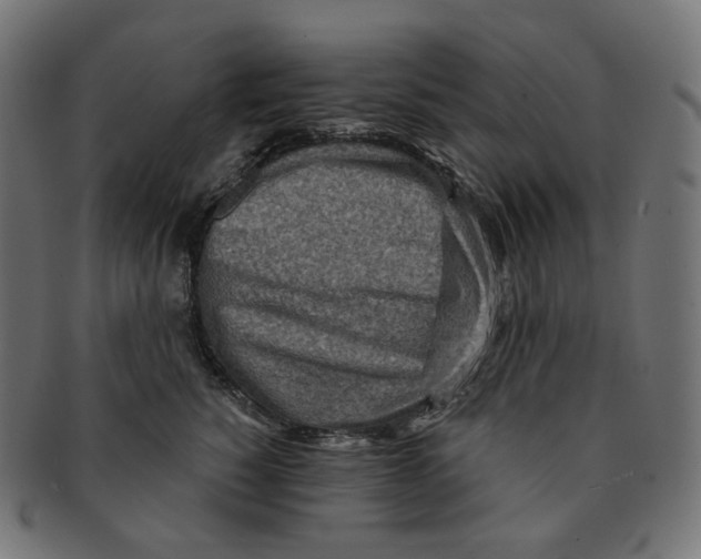 X0000091720760200709211000