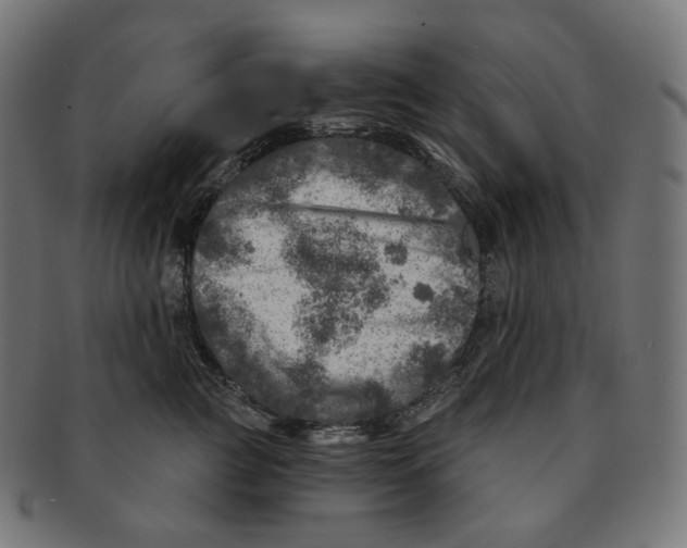 X0000091720761200709211000