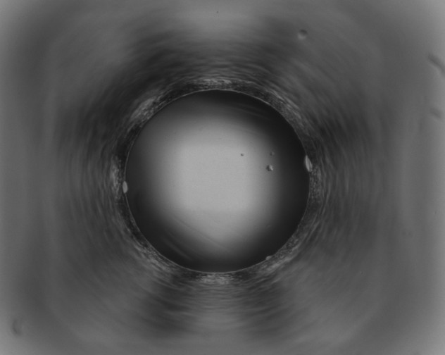 X0000091720762200709211000