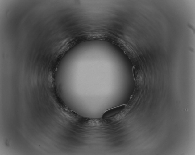 X0000091720764200709211000