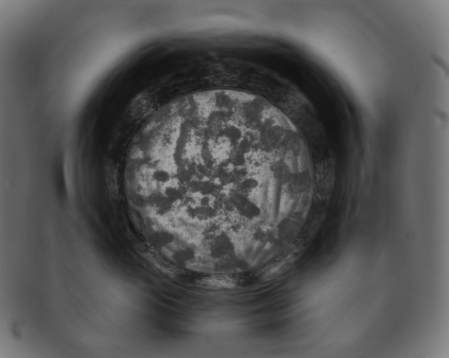 X0000091720765200709211000