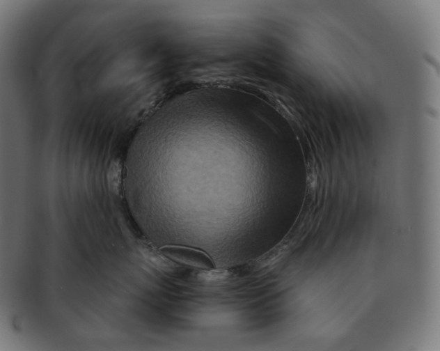 X0000091720767200709211001