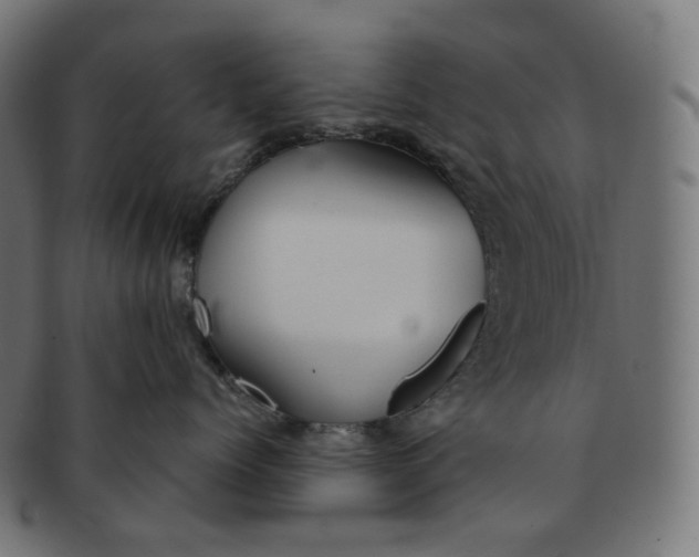 X0000091720768200709211001