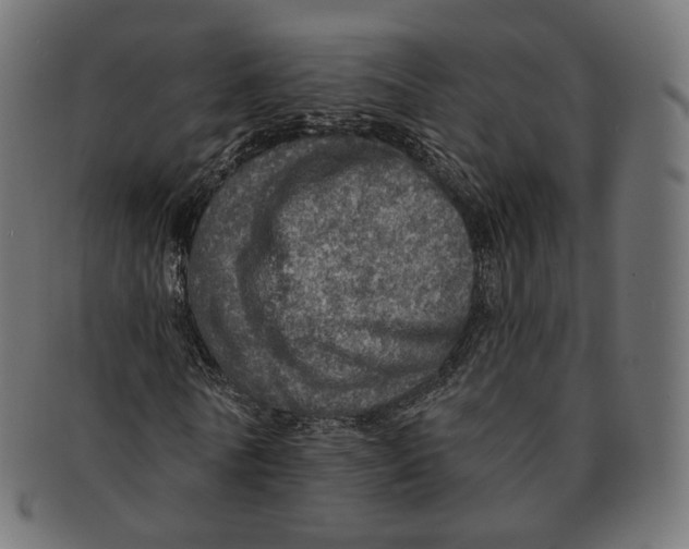 X0000091720770200709211000