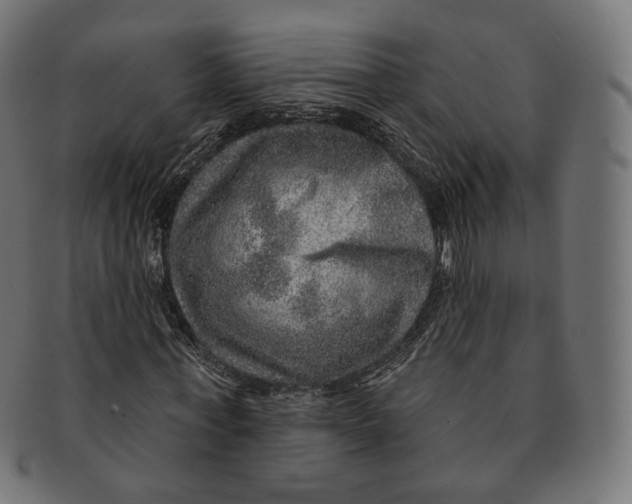 X0000091720771200709211000