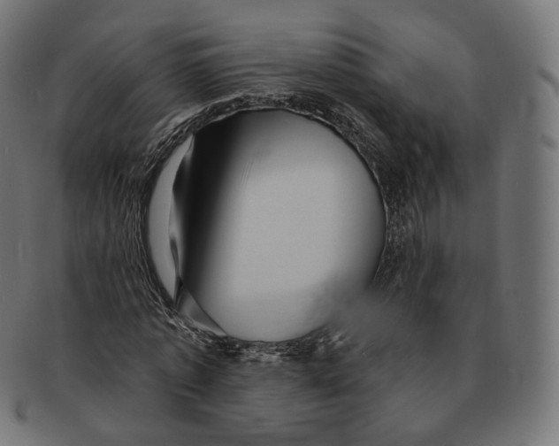 X0000091720773200709211000