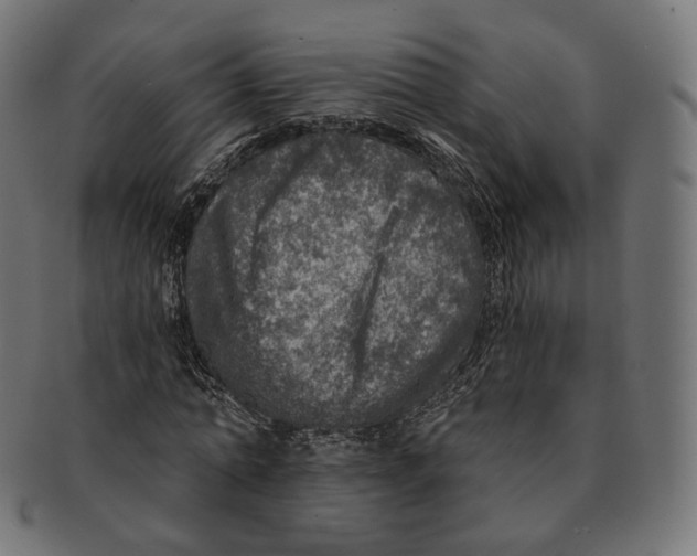 X0000091720774200709211000