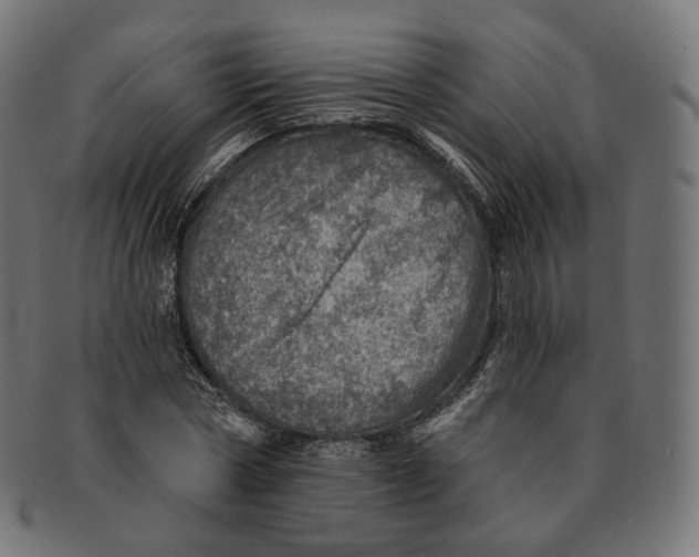 X0000091720778200709211000