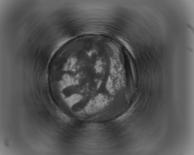 X0000091720779200709211000