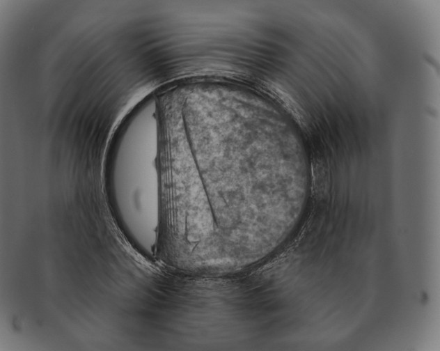 X0000091720780200709211000