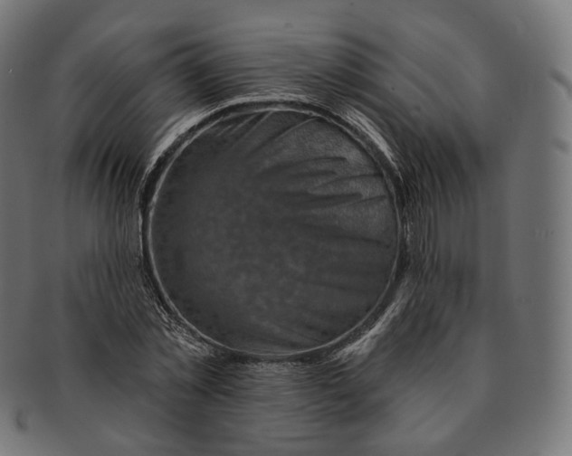 X0000091720781200709211000