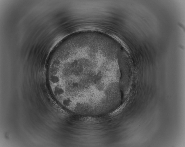 X0000091720783200709211000