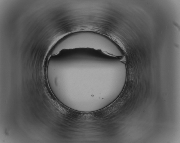 X0000091720784200709211000