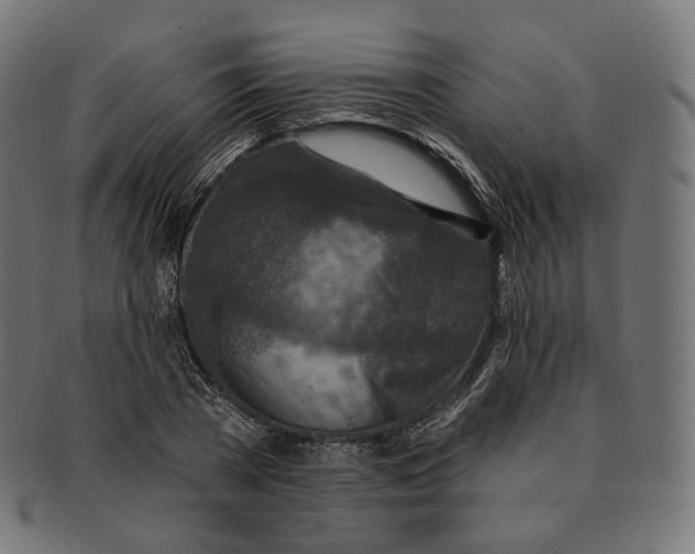 X0000091720785200709211000