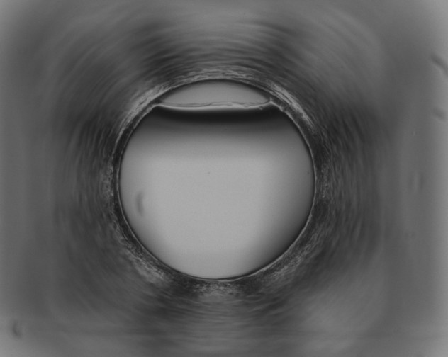 X0000091720786200709211000