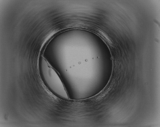 X0000091720788200709211000