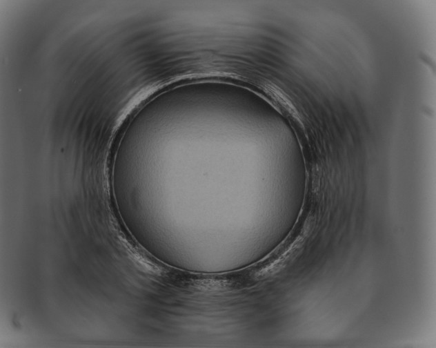 X0000091720789200709211000