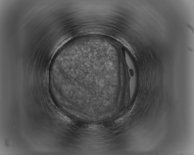 X0000091720790200709211000