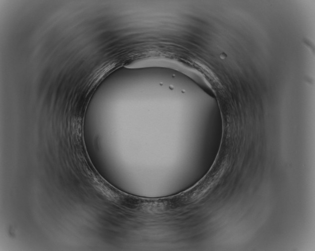 X0000091720793200709211000