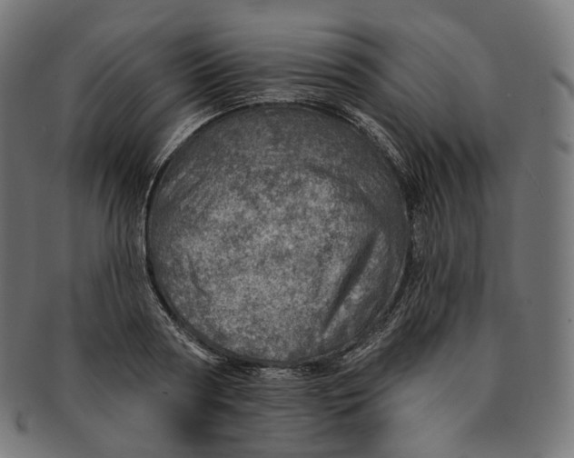 X0000091720794200709211000