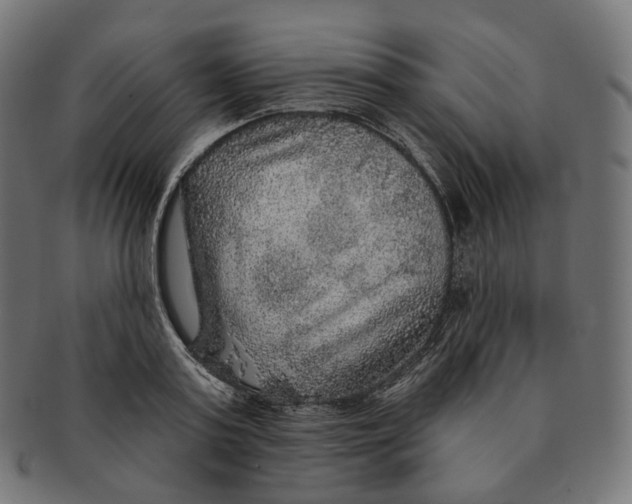 X0000091720795200709211000