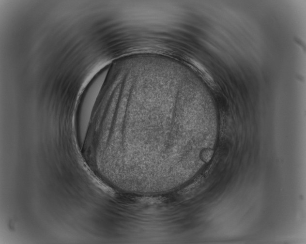 X0000091720796200709211000