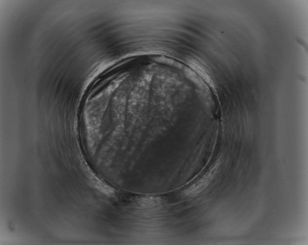 X0000091720797200709211000