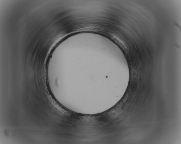 X0000091720800200709211000