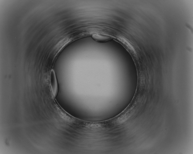 X0000091720801200709211000