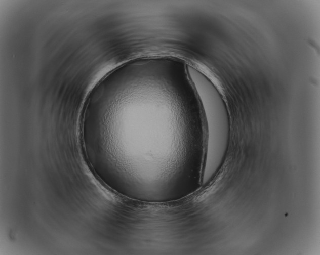 X0000091720803200709211000