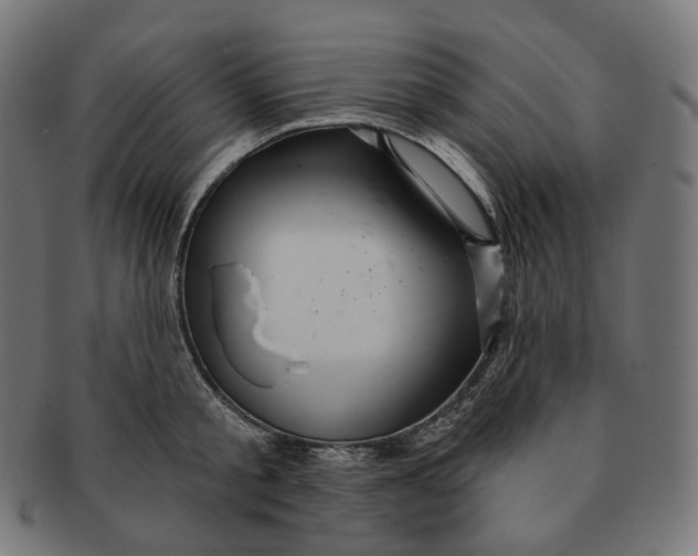 X0000091720805200709211000