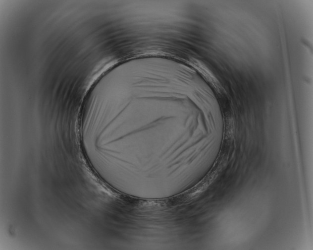 X0000091720806200709211000