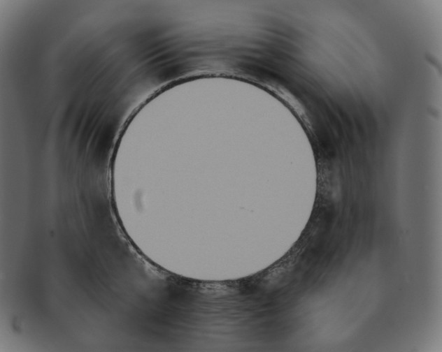 X0000091720807200709211000