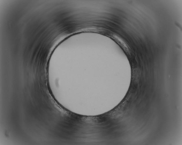 X0000091720808200709210959